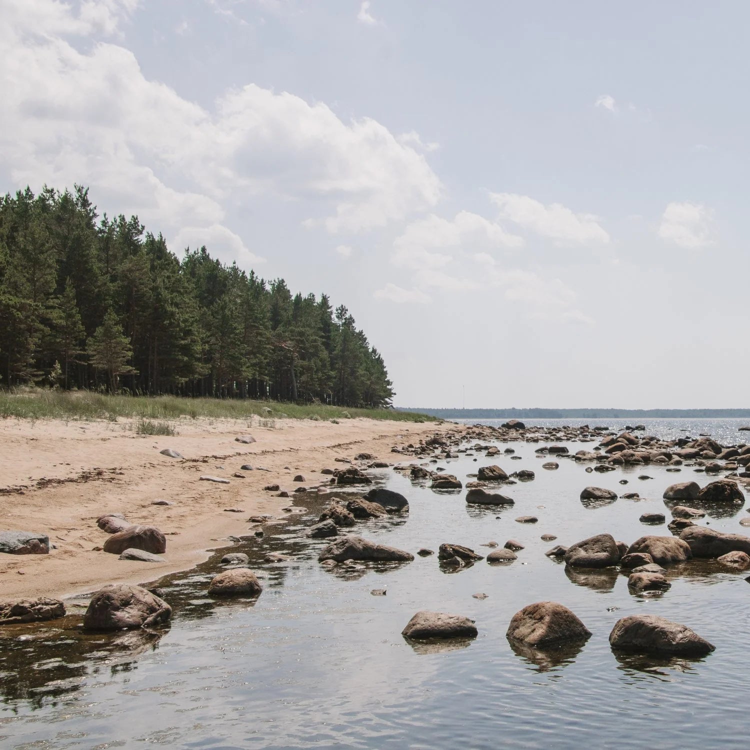 Natural skincare by Magrada inspired by Nordic nature